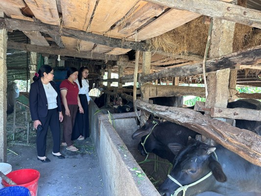 Đoàn thanh niên xã Ea Phê làm tốt công tác kiểm tra, giám sát hoạt động của Tổ TK&VV, Ban Quản lý Tổ và tổ viên Tổ TK&VV